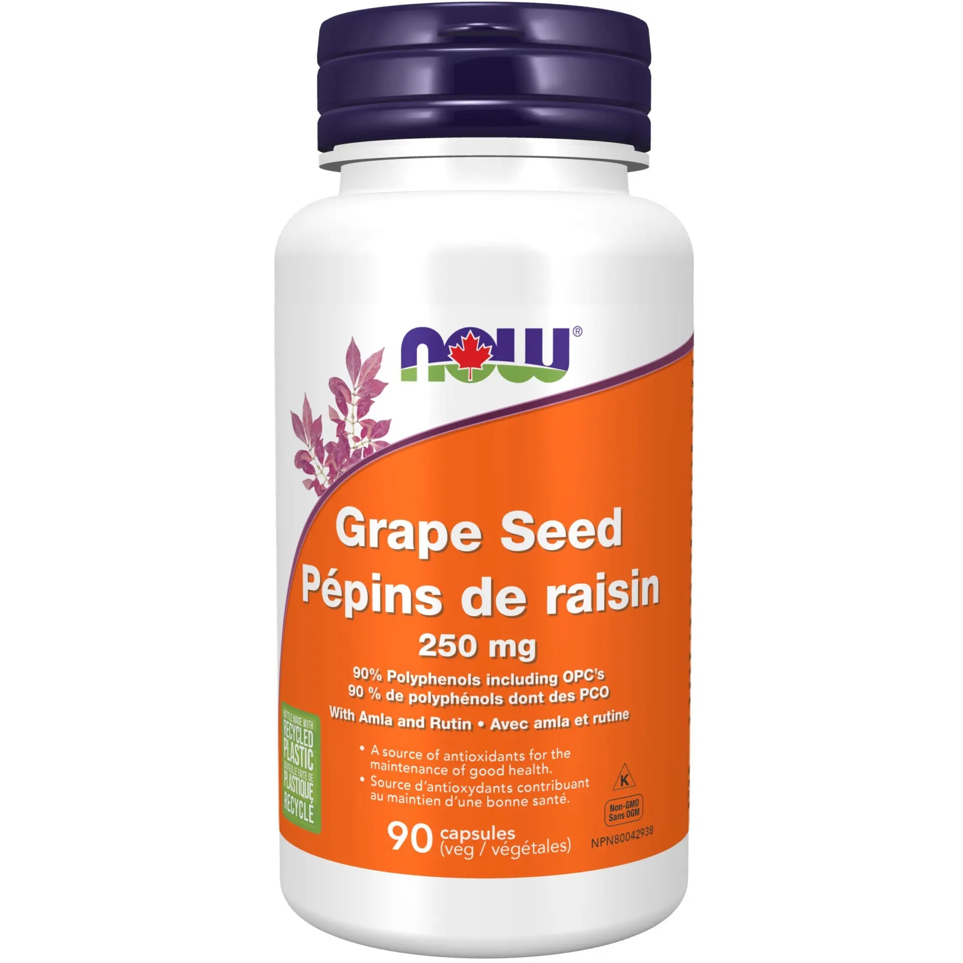 Now Grapeseed Extract 90 Veg Capsules - Nutrition Plus