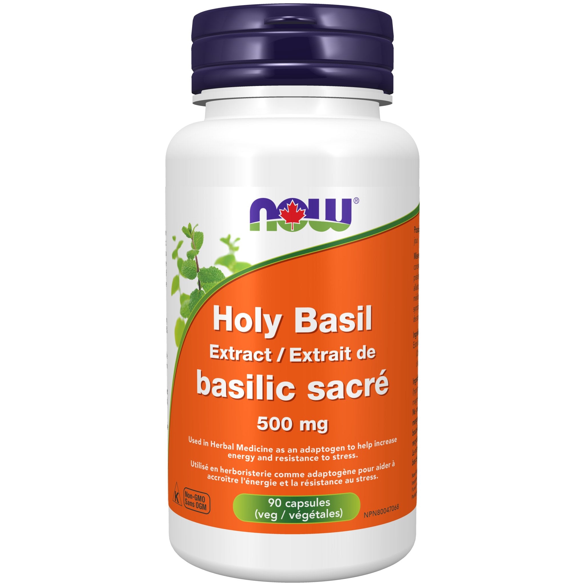 Now Holy Basil Extract 500 mg 90 Veg Capsules - Nutrition Plus