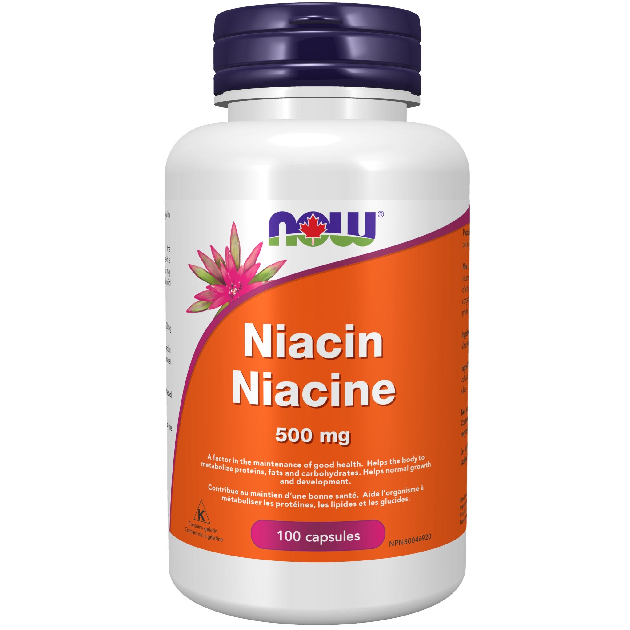 Now Niacin 500mg 100 Capsules - Nutrition Plus