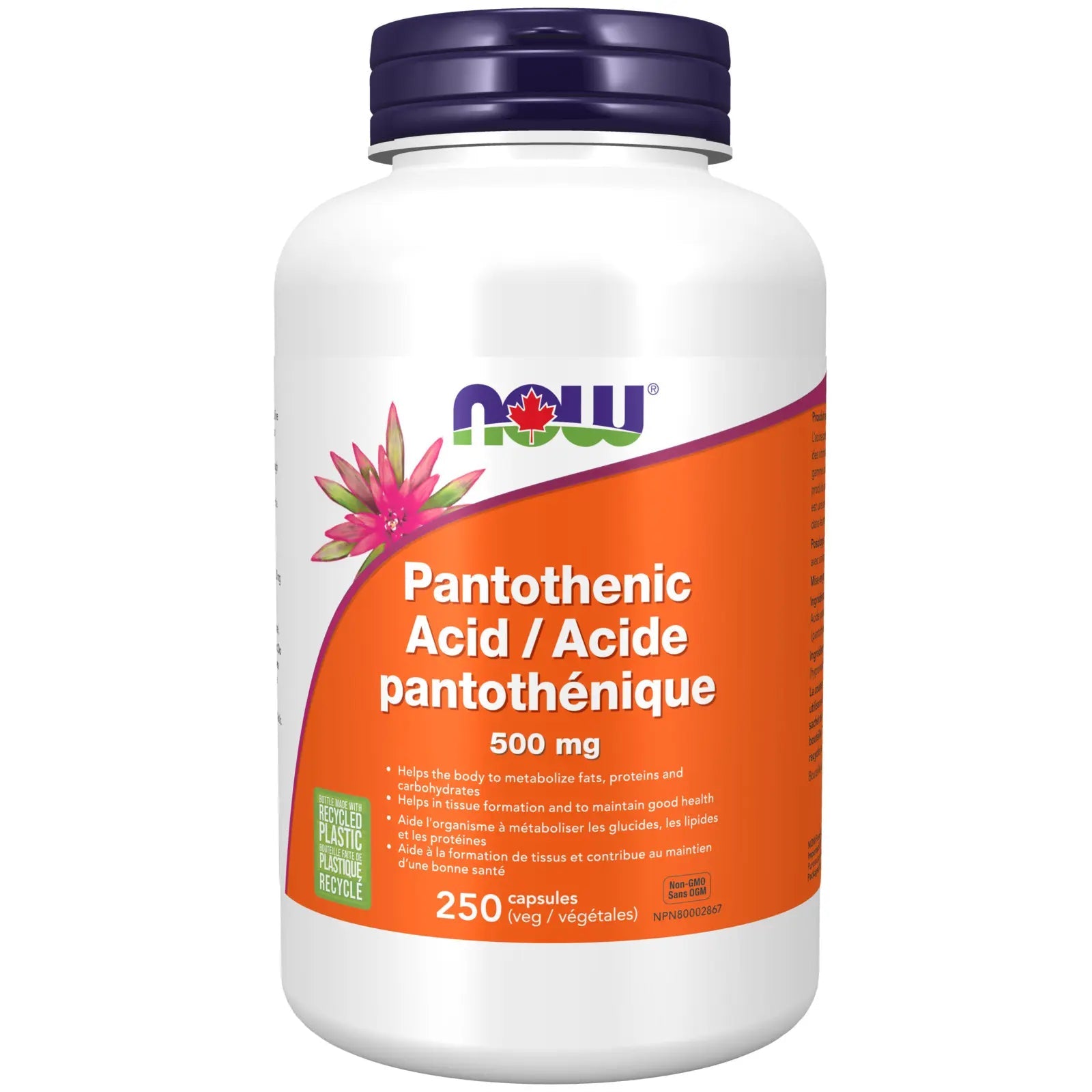 Now Pantothenic Acid 500 mg 250 Veg Capsules - Nutrition Plus