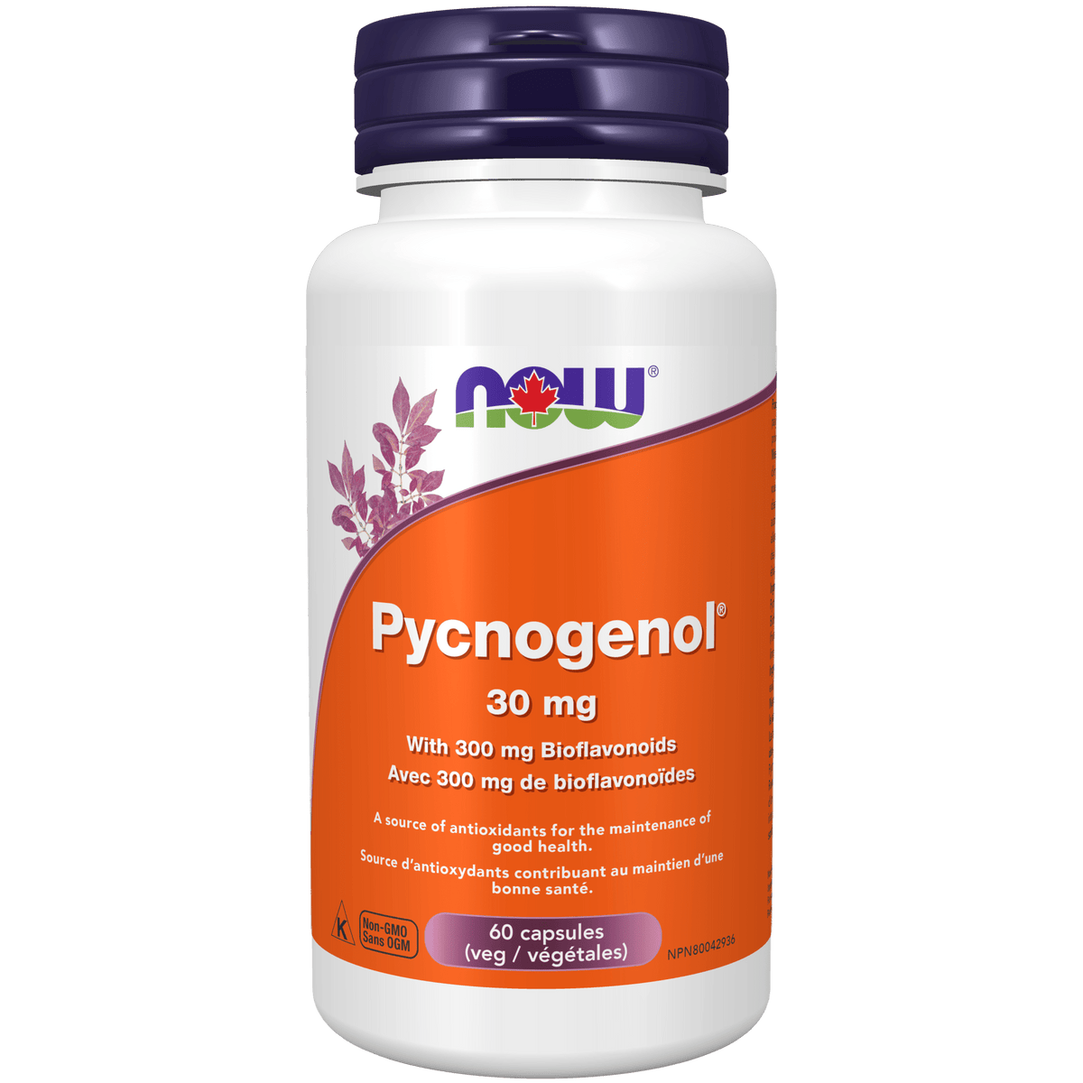Now Pycnogenol® 30 mg with Bioflavonoids 60 Capsules - Nutrition Plus