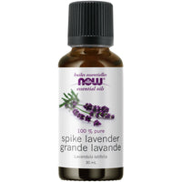 Thumbnail for Now Spike Lavender Oil 30mL - Nutrition Plus