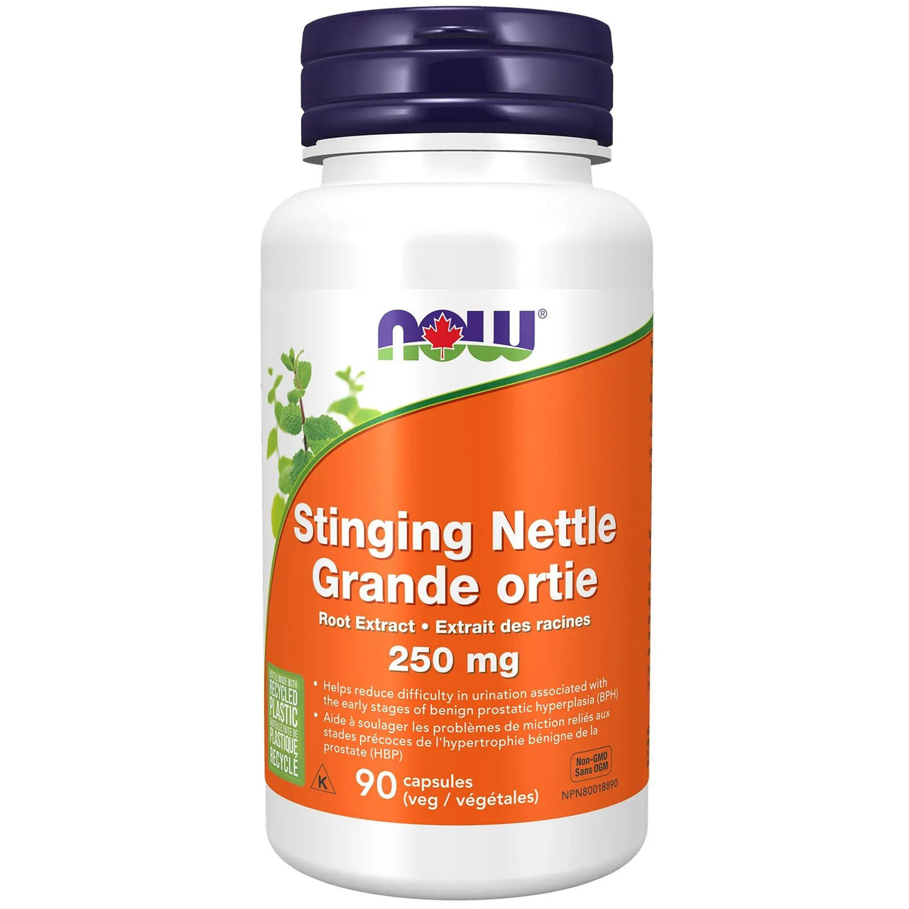 Now Stinging Nettle Root Extract 250mg 90 Veg Capsules - Nutrition Plus