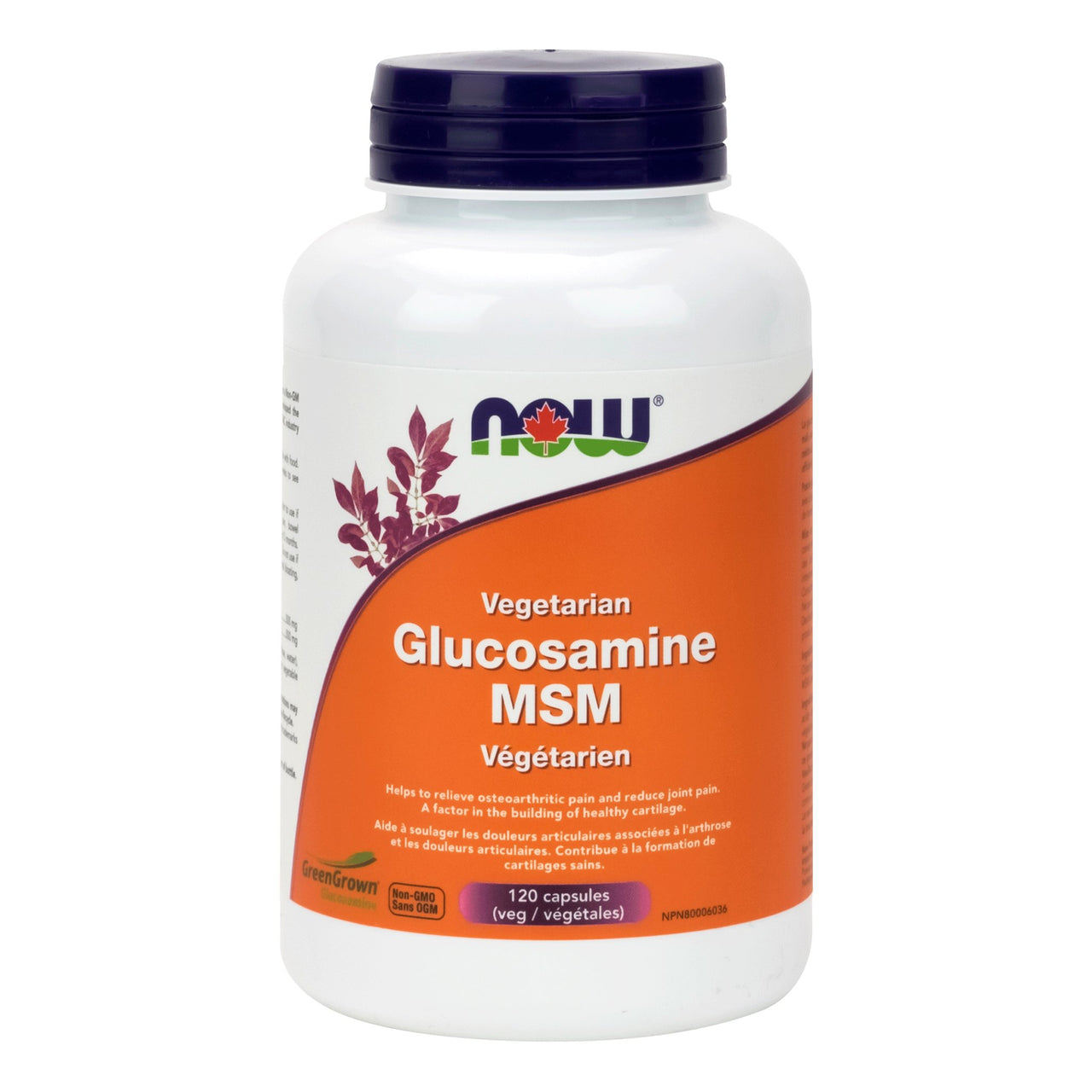 Now Vegetarian Glucosamine & MSM 120 Veg Capsules - Nutrition Plus