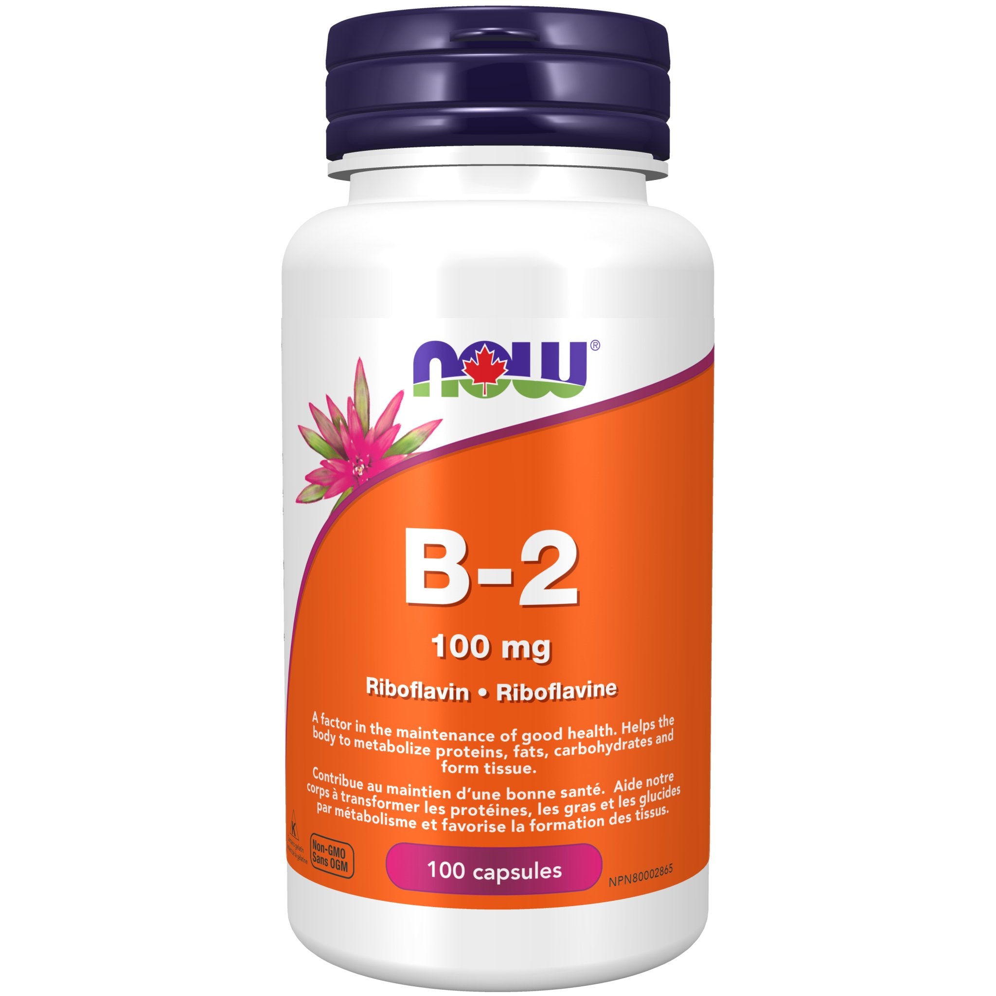 Now Vitamin B-2 100 Capsules - Nutrition Plus