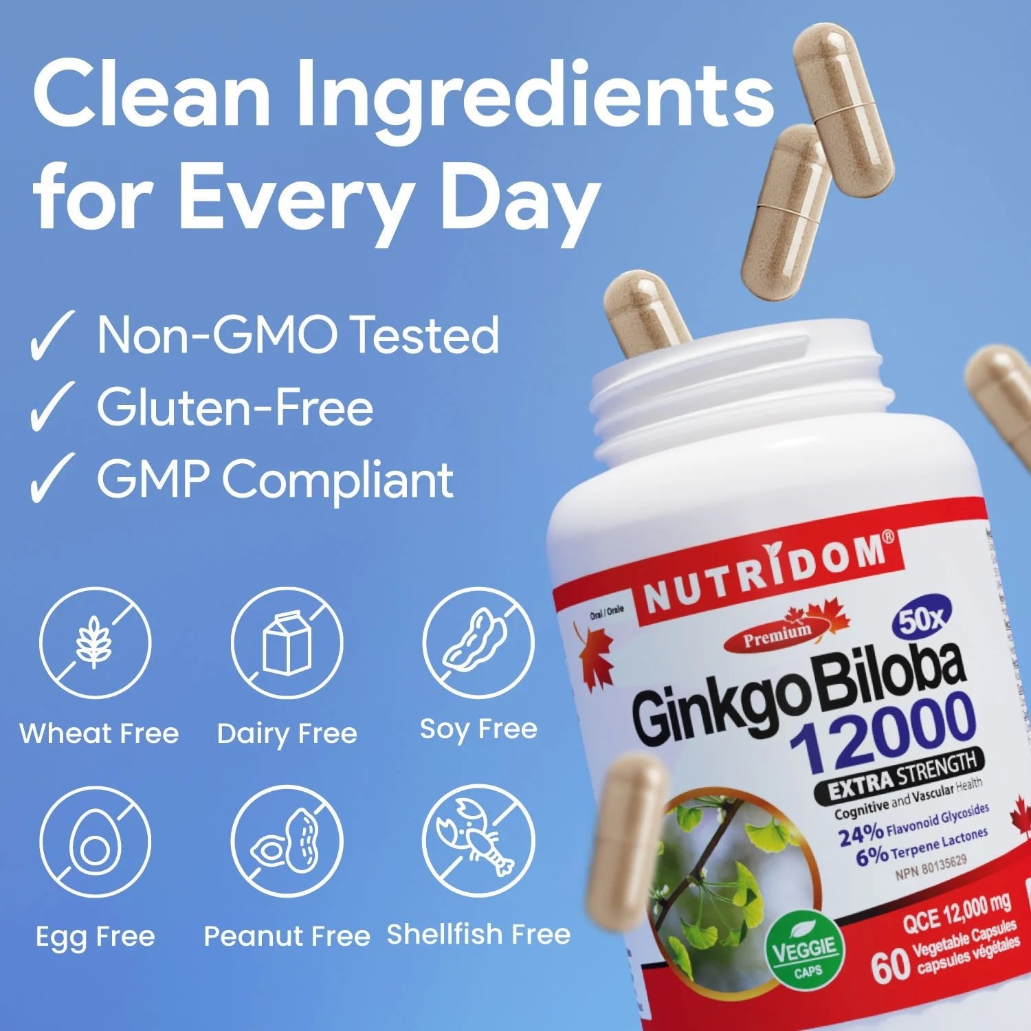 Nutridom Ginkgo Biloba 240mg 60 Veg Capsules - Nutrition Plus