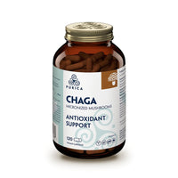 Thumbnail for Purica Chaga 120 Vegan Capsules, Antioxidant Support - Nutrition Plus