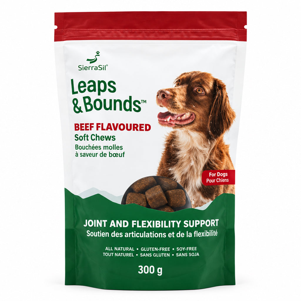 SierraSil Leaps and Bounds 100 Soft Chews - Beef Flavoured - Nutrition Plus