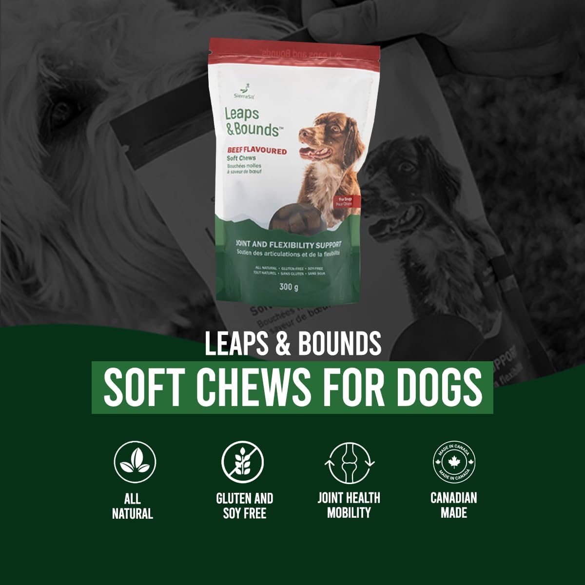 SierraSil Leaps and Bounds 100 Soft Chews - Beef Flavoured - Nutrition Plus