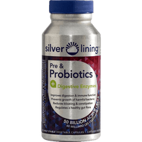 Thumbnail for Silver Lining Pre & Probiotics 120 Veg Capsules - Nutrition Plus