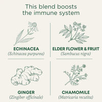 Thumbnail for Traditional Medicinals - Organic Echinacea Plus® Elderberry Tea, 16s - Nutrition Plus