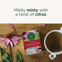 Thumbnail for Traditional Medicinals - Organic Echinacea Plus® Tea, 16 Bags - Nutrition Plus