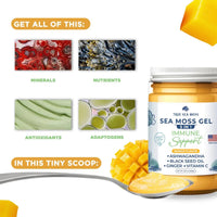 Thumbnail for TrueSeaMoss Sea Moss Gel 473mL - Nutrition Plus