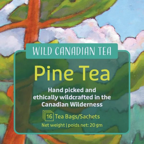 Canadian Popular Tea Wild Canadian Tea, Pine Needle Tea 16 Tea Bags – Nutrition Plus
