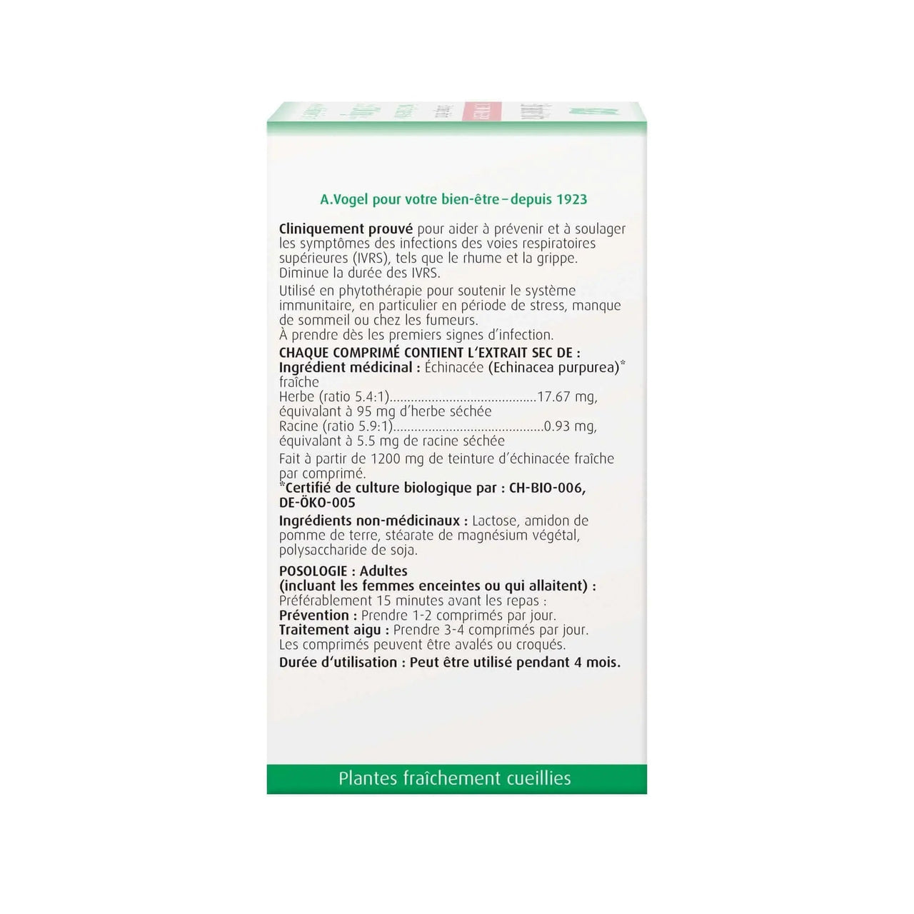 A. Vogel Echinaforce Extra Tablets - Immune System Support - Nutrition Plus