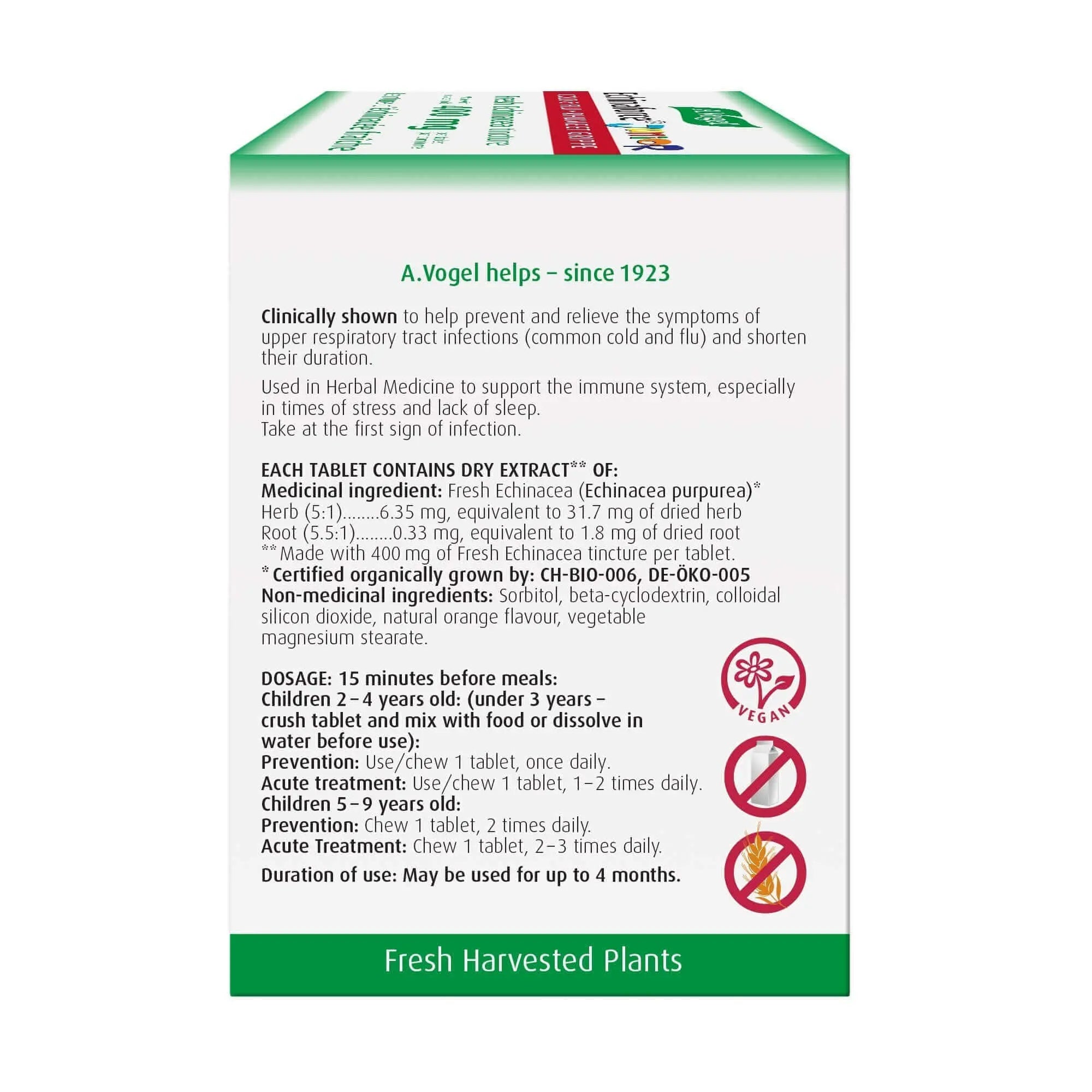 A. Vogel Echinaforce Junior 90 Chewable Tablets - Nutrition Plus