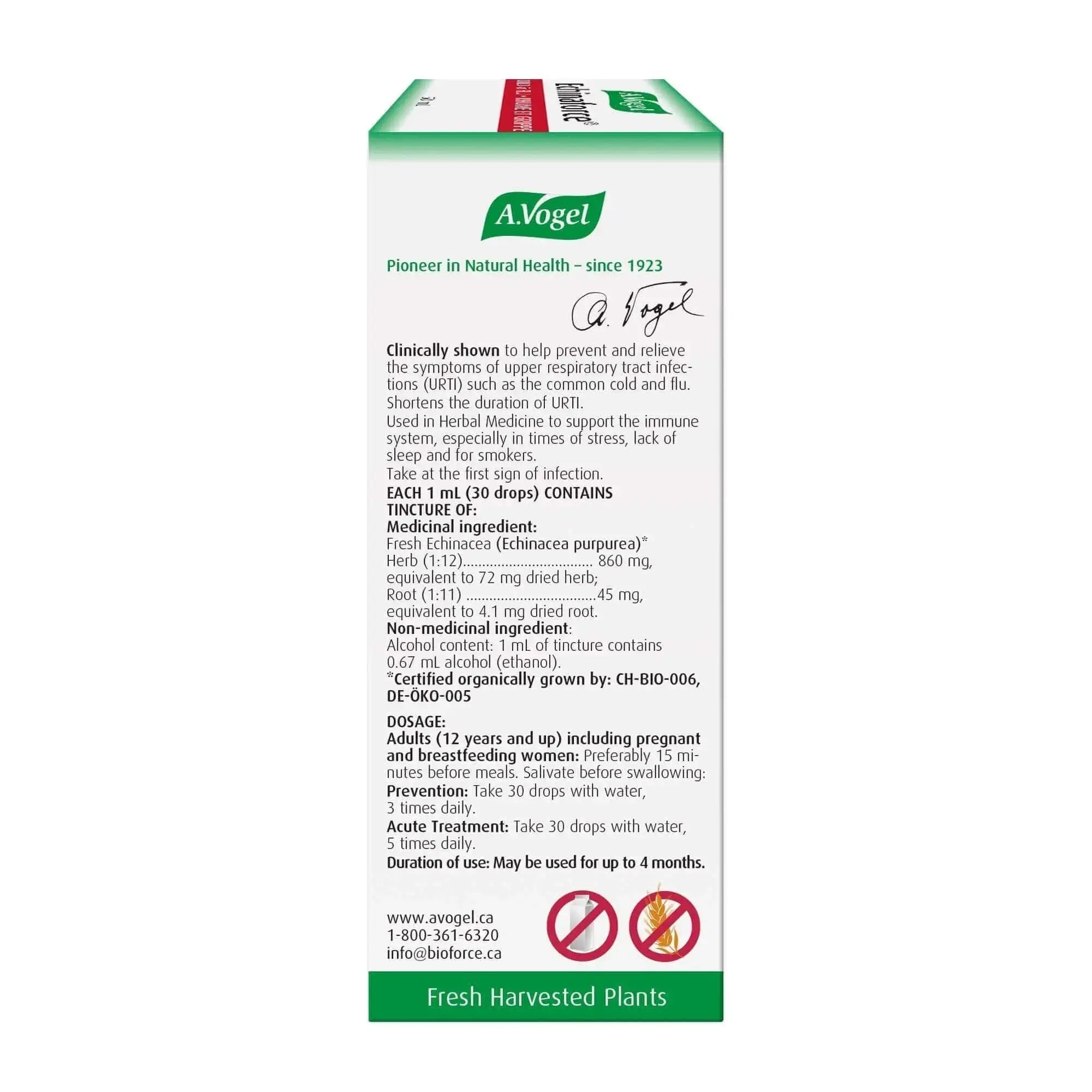 A. Vogel Echinaforce Liquid - Immune System Support - Nutrition Plus