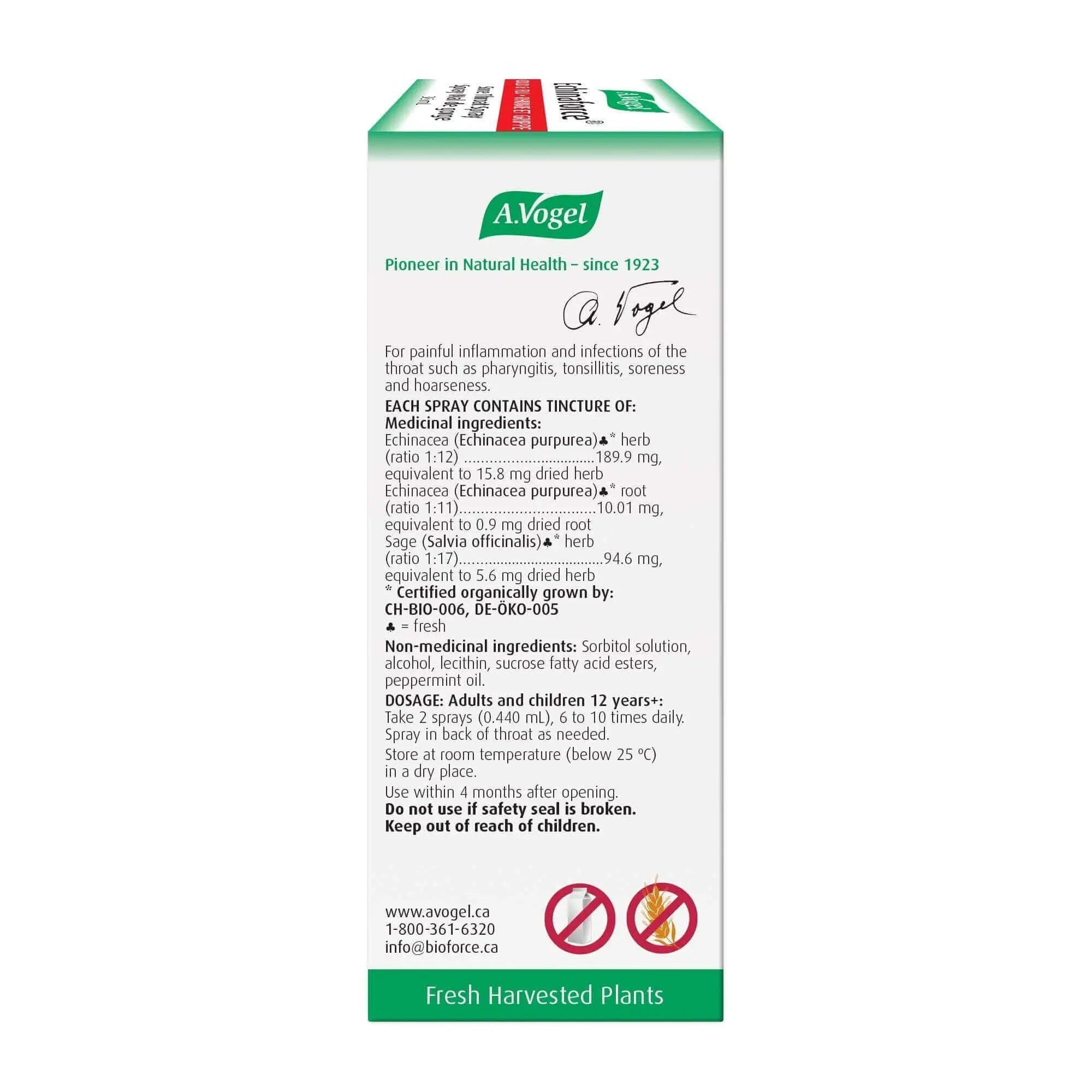 A. Vogel Echinaforce Sore Throat Spray Fast Acting Relief 30mL - Nutrition Plus