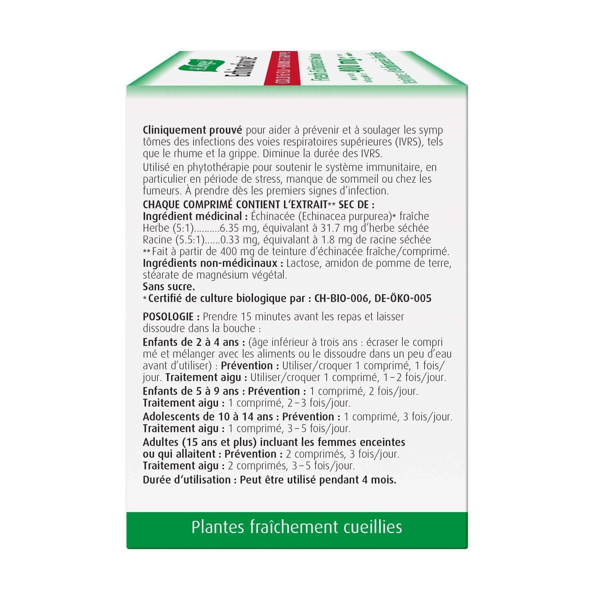 A. Vogel Echinaforce Tablets - Immune System Support 120 Tabs - Nutrition Plus