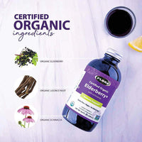 Thumbnail for Flora Organic Sambu Guard Elderberry+ Liquid Formula 250mL - Nutrition Plus