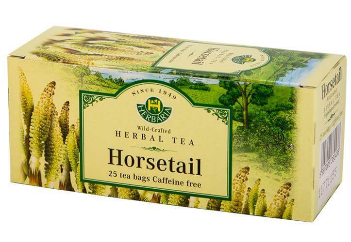 Herbaria Horsetail Tea (Equisetum Arvense) 25 Tea Bags - Nutrition Plus