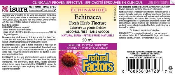 Natural Factors Alcohol-Free Echinamide Echinacea Tincture 50mL - Nutrition Plus