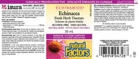 Thumbnail for Natural Factors Alcohol-Free Echinamide Echinacea Tincture 50mL - Nutrition Plus