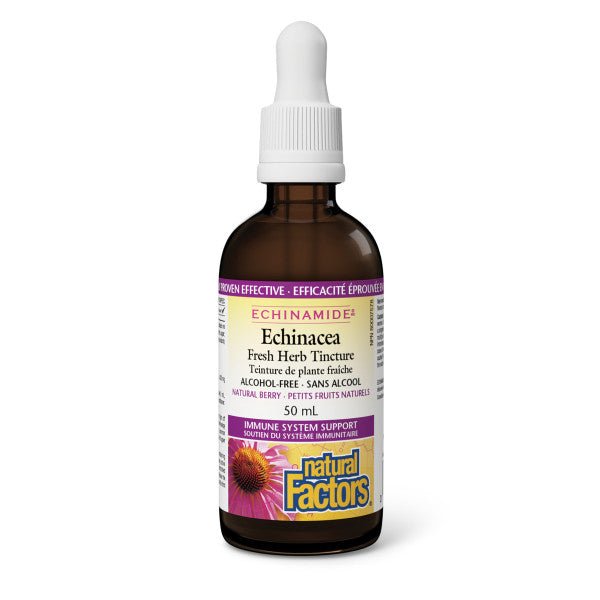 Natural Factors Alcohol-Free Echinamide Echinacea Tincture 50mL - Nutrition Plus