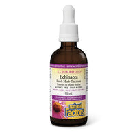 Thumbnail for Natural Factors Alcohol-Free Echinamide Echinacea Tincture 50mL - Nutrition Plus