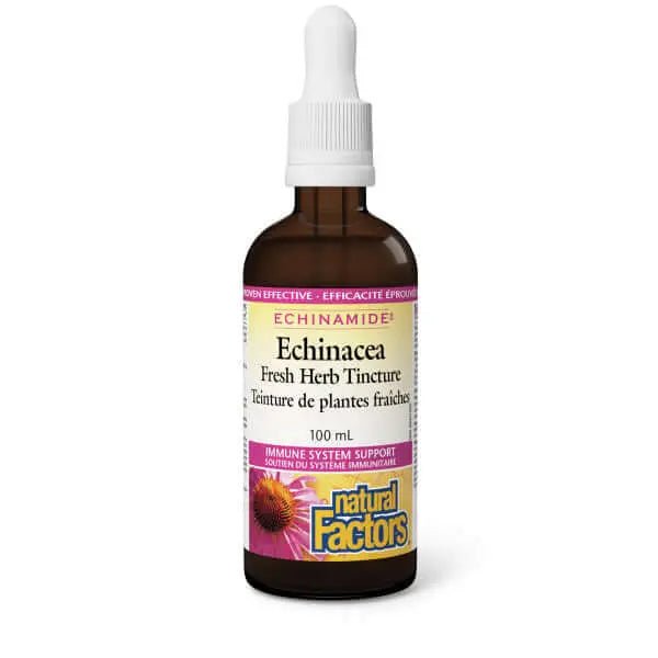 Natural Factors Echinacea Fresh Herb Tincture, ECHINAMIDE 100mL - Nutrition Plus