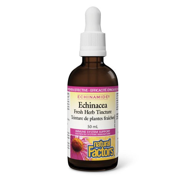 Natural Factors Echinamide Echinacea Fresh Herb Tincture 50mL - Nutrition Plus