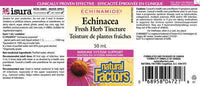 Thumbnail for Natural Factors Echinamide Echinacea Fresh Herb Tincture 50mL - Nutrition Plus