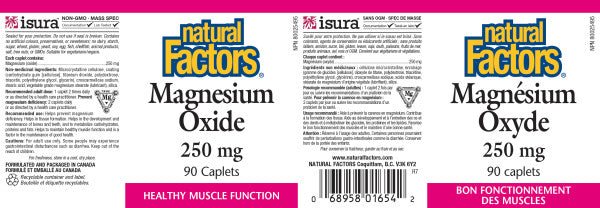 Natural Factors Magnesium Oxide 250mg 90 Capsules - Nutrition Plus