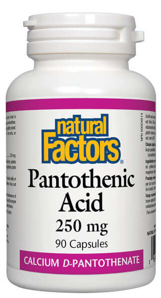 Natural Factors Pantothenic Acid 250 mg 90 Capsules - Nutrition Plus