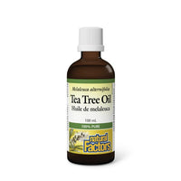 Thumbnail for Natural Factors Tea Tree Oil 100mL - Nutrition Plus