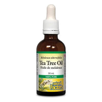 Thumbnail for Natural Factors Tea Tree Oil 50 ml - Nutrition Plus