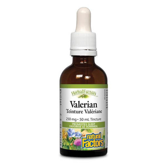 Natural Factors Valerian HerbalFactors 50mL Tincture Nutrition Plus