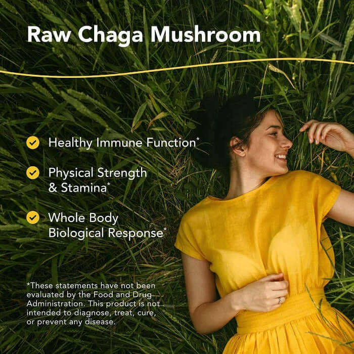 North American Herb & Spice Vegi Caps, ChagaMax, 90 Count - Nutrition Plus