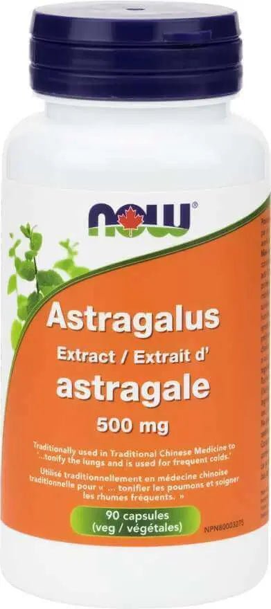 Now Astragalus Extract 500 mg 90 Veg Capsules - Nutrition Plus
