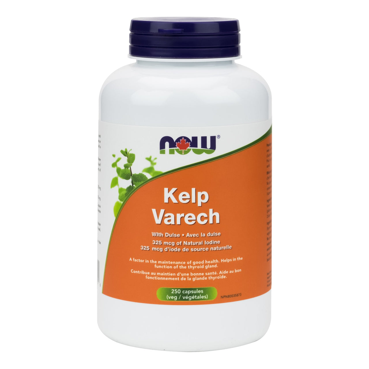 Now Kelp 325mcg 250 Veg Capsules - Nutrition Plus