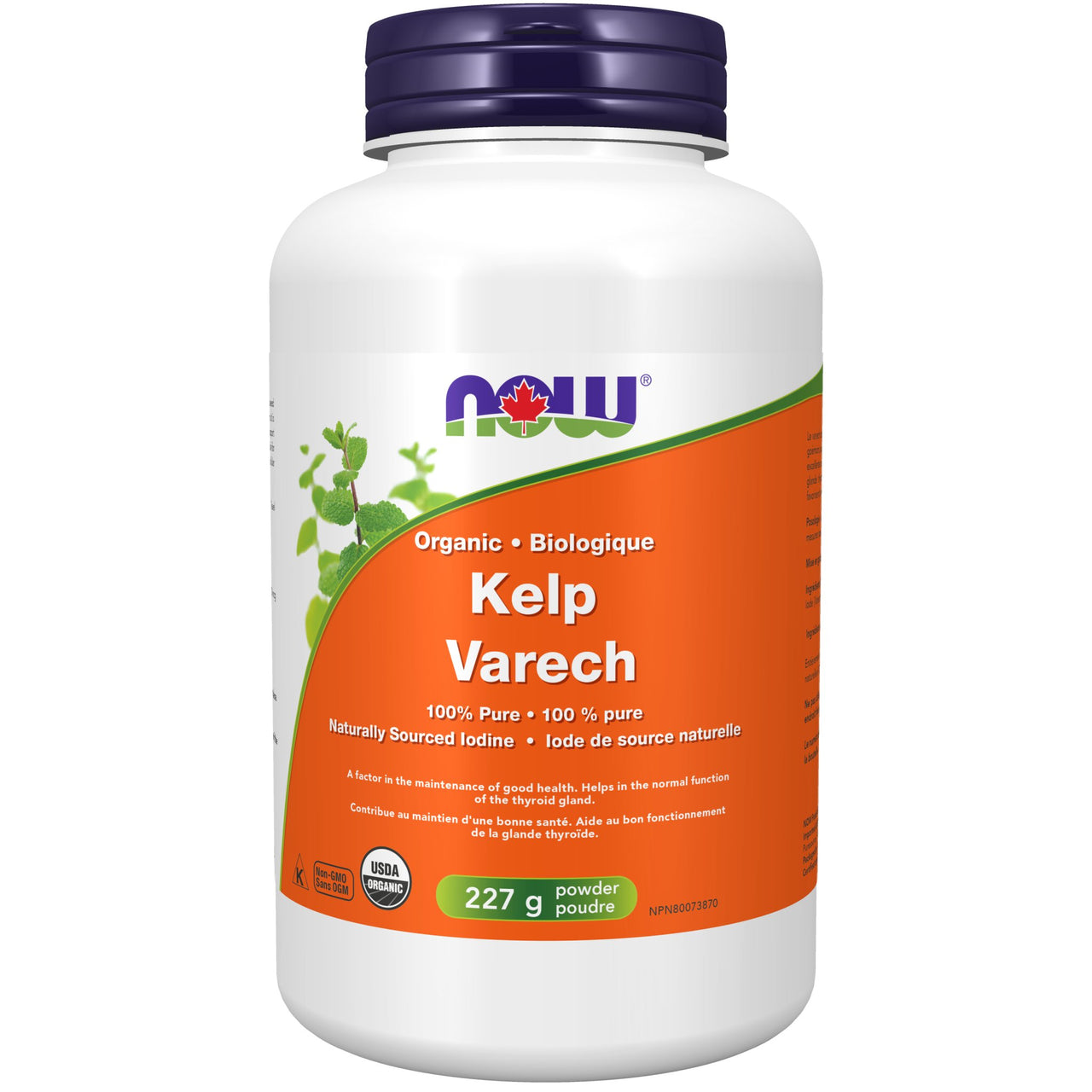 Now Kelp Powder 227 Grams - Nutrition Plus
