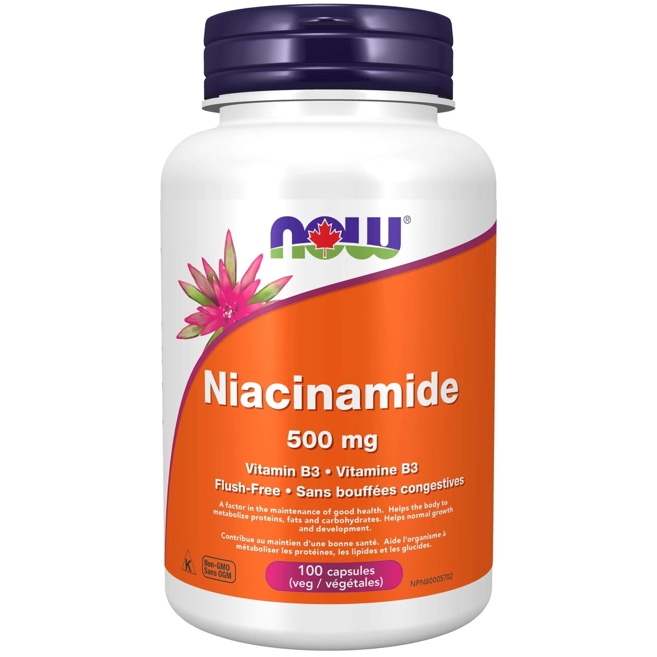 Now Niacinamide 500 mg 100 Veg Capsules - Nutrition Plus