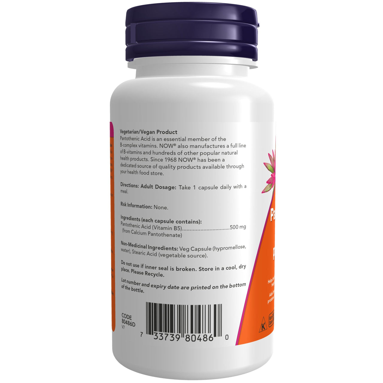 Now Pantothenic Acid 500mg 100 Veg Capsules - Nutrition Plus