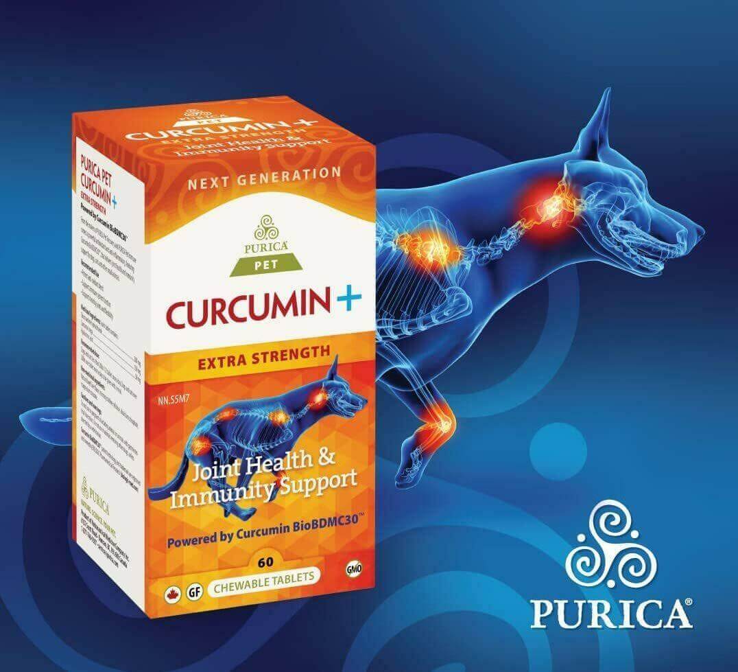 Purica Pet Curcumin Extra Strength with Glucosomine 60 Chewable Tablets - Nutrition Plus