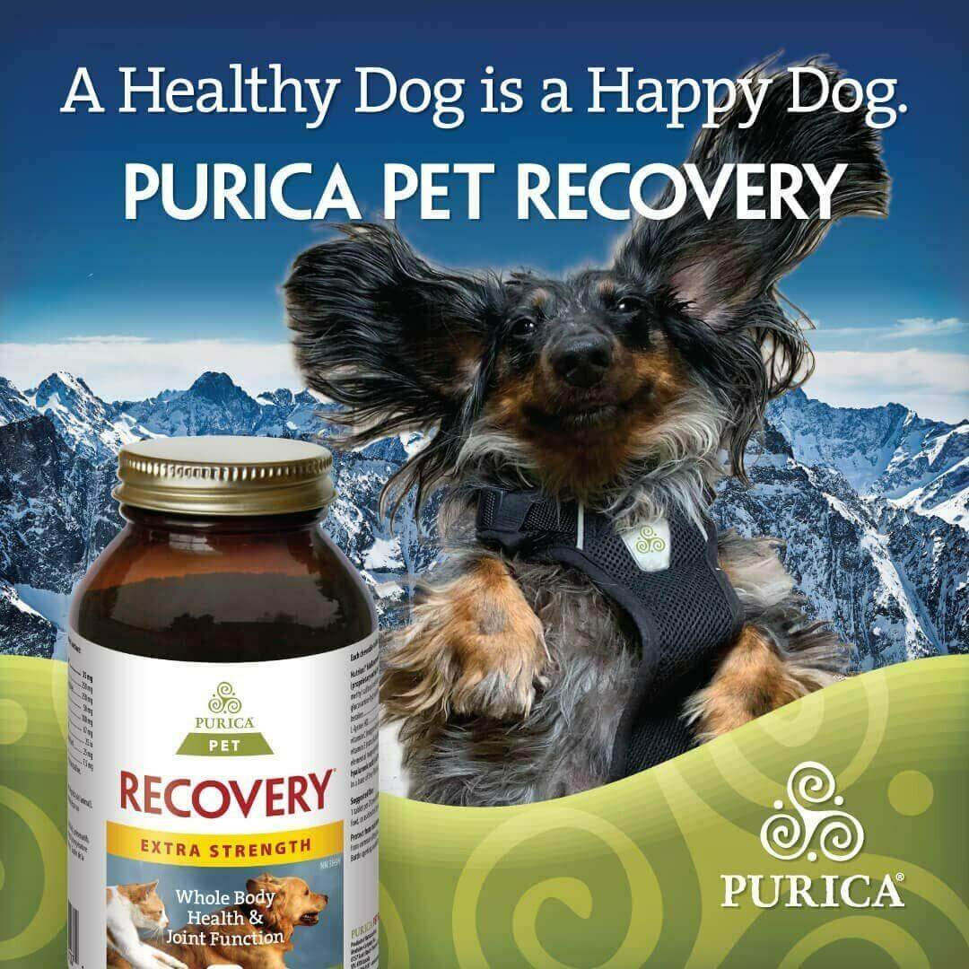Purica Pet Recovery Extra Strength 120 Chewable Tablets - Small Animals - Nutrition Plus
