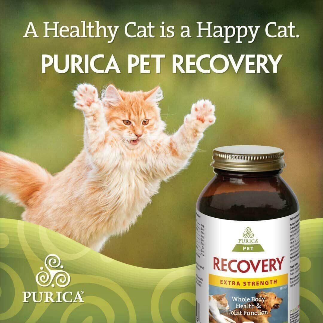 Purica Pet Recovery Extra Strength 120 Chewable Tablets - Small Animals - Nutrition Plus