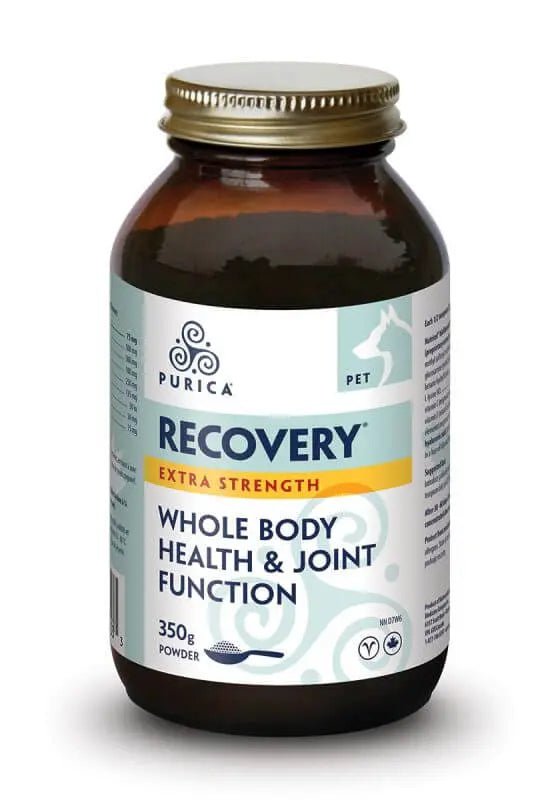 Purica Pet Recovery Small Animal Extra Strength 350 Grams - Nutrition Plus