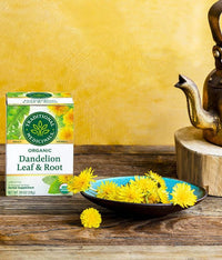 Thumbnail for Traditional Medicinals - Organic Dandelion Leaf & Root Tea, 16 Bags - Nutrition Plus