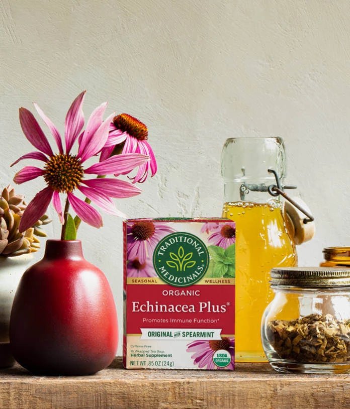 Traditional Medicinals - Organic Echinacea Plus® Tea, 16 Bags - Nutrition Plus