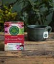 Thumbnail for Traditional Medicinals - Organic Echinacea Plus® Tea, 16 Bags - Nutrition Plus